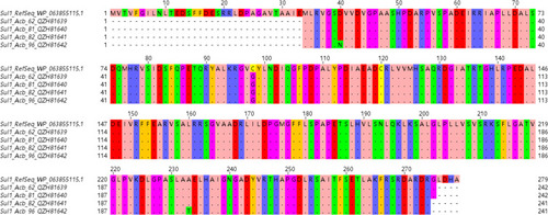 Figure 4 Multiple sequence alignment of the amino acid sequences of the mutated sulfonamide-resistant dihydropteroate synthase (DHPS). The code WP_063855115.1 represents the accession Id of the reference protein sequence. The codes QZH81639- QZH8163942 represent the newly accession Ids assigned by the GenBank for the mutated sulfonamide-resistant DHPS detected in the current study.