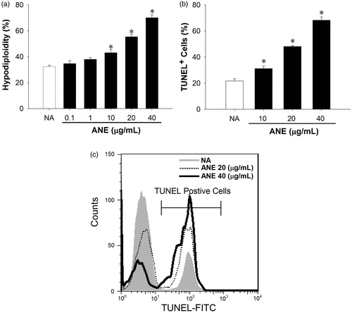 Figure 3. ANE-induced thymocyte apoptosis. Thymocytes were left untreated (NA) or treated with ANE (1–40 µg/ml) for 12 h, and then fixed with ethanol. The single cell fluorescence of 5000 cells per sample was then measured by flow cytometry. (a) Data presented as a proportion of apoptotic cells, defined as sub-G0/G1-phase cells with hypodiploid DNA content. (b) Portion of TUNEL+ cells. (c) Representative histograms of TUNEL analyses on NA and ANE (20–40 μg/ml)-treated cells. Data are expressed as mean (±SE) of quadruplicate cultures. Results are representative of three independent experiments. *Value significantly different compared to VH group at p < 0.05.