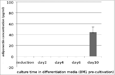 Figure 4. Adiponectin secretion (pg/ml) of preadipocytes cultured in BM 1 after stimulation with induction medium for 48 h and following cultivation in differentiation medium. Each value represents the mean ± SD of 4 independent experiments.