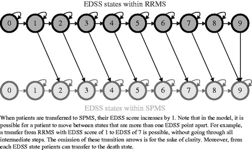 Figure 1. Summary of model states and possible transitions between them (death state not shown).