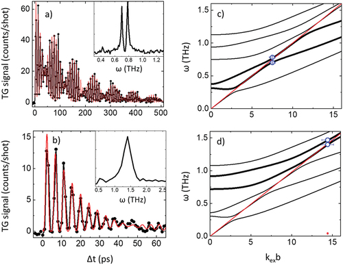 Figure 22. Black dots connected by lines in panels a) and b) are the EUV TG signal from Si3N4 collected, respectively, at kexcd≈ 7.5 and 14. The red lines are best fits of the data using EquationEquation 20(20) ITG=|ATe−Δt/τT+ΣiAicos(ωiΔt)e−Δt/τi|2,(20) , while insets show the Fourier transform of the experimental waveform. Panels c) and b) are the dispersion relations calculated from Lamb wave theory (only symmetric modes are considered), the blue circles are the frequencies extracted from the fit while the straight red line is the LA frequency; for a given value of kexc the brightest Lamb modes in the EUV TG signal are those closer to such frequency. Figure adapted from [Citation248].