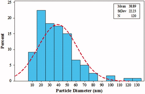 Figure 6. The size distribution of particles in TEM images. The diagram shows that the average size of AgNPs is 38.89 nm.