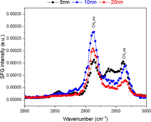Figure 5 SFG spectra showing the CH region for each of the 5, 10, 20 nm Au-SOA-HPC-HT. The NPs are at an air/water interface free of any lipids. The CH2 asymmetric stretch is at 2913 cm−1 with the CH3 asymmetric stretch at 2963 cm−1. The NPs exhibit only asymmetric stretches which indicates strong ordering of the lipid coating.