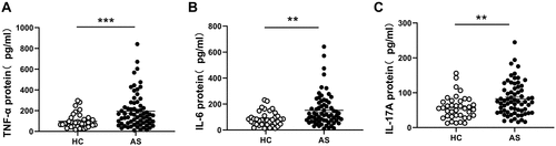 Figure 5 Serum cytokines TNF-α, IL-6 and IL-17 levels in AS patients and HCs. The protein levels of TNF-α (A), IL-1β (B) and IL-6 (C) in serums from AS patients (n= 67) and HC (n= 38) were measured by ELISA. Results are showed as mean± SEM. Each symbol represents an individual gout patient and HC. Horizontal lines indicate median values. Differences between two groups were performed with unpaired Student’s t-test. **P<0.01; ***P<0.001.