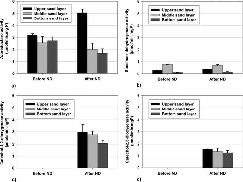 Figure 6. Activities of the key enzymes from the biodegradation pathway of amaranth before (121 h) and after ND addition (455 h): azoreductase activity (a); succinate dehydrogenase activity (b); catechol-1,2-dioxygenase activity (c); catechol-2,3-dioxygenase activity (d).