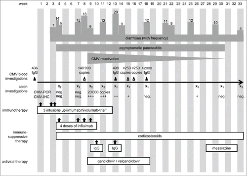 Figure 1. Clinical course of the patient. Dark gray bars mark the symptoms the patient developed with the frequency of bowel movements represented by corresponding columns, whereas white boxes indicate the applied therapies over time. In weeks labeled with x, endoscopy has been performed, index 1 indicating sigmoidoscopy and index 2 indicating colonoscopy.