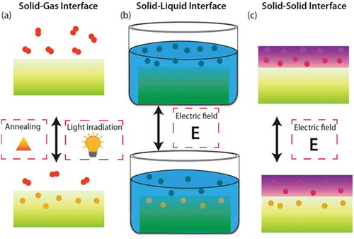Figure 4. The mechanisms to introduce ions into the materials though (a) Solid-Gas, (b) Solid-Liquid, and (c) Solid-Solid interfaces.