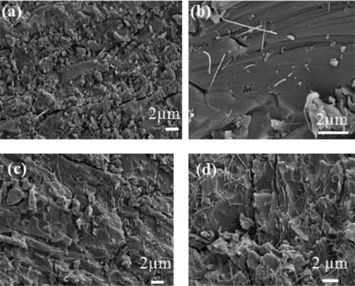 Figure 4. FE-SEM images of fracture surface of the MWCNTs nanocomposites with respect to the MWCNTs concentration a) 0.25 wt% (b) 0.50 wt% (c) 0.75 wt. % and (d) 1 wt%.