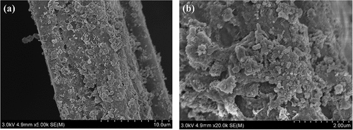 Figure 7. Scanning electron microscope image of the cathode surface after electrolysis.