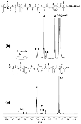 Figure 1. 1H NMR spectra of PDLLA-PI-PDLLA (a) and PDLLA-PCL-PI-PCL-PDLLA (b) macrophotoinitiators in CDCl3.