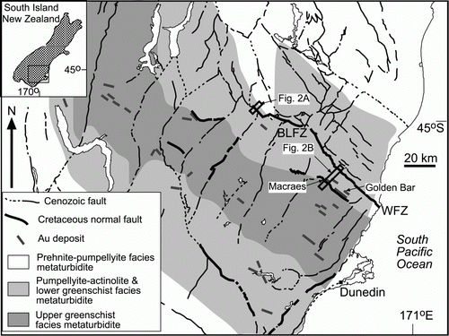 Figure 1  Location map of the Otago Schist and adjacent low-grade rocks, showing the localities described in the text (section lines in Fig. 2 are indicated with grey boxes) in relation to the metamorphic transition on the northeast side of the schist belt. Cretaceous normal faults responsible for condensing the metamorphic section are indicated: WFZ, Waihemo Fault Zone; BLFZ, Blue Lake Fault Zone (as in Fig. 2A, 2B).