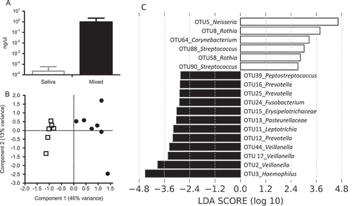 Figure 4. Microbiome analysis of initial (5 h) biofilms. (a) qPCR of C. albicans in ng/µL. White bar represents saliva biofilms; black bar represents mixed biofilms. (b) Principal component analysis plot of initial (5 h) biofilms where ┚ are saliva biofilms and ● are mixed biofilms. The data were randomly subsampled and log2 transformed. (c) Visualization of most significant OTUs that differentiate between saliva and mixed biofilms, ranked by the effect size in LEfSe. White bars represent OTUs more abundant in saliva biofilms; black bars represent OTUs more abundant in mixed biofilms.