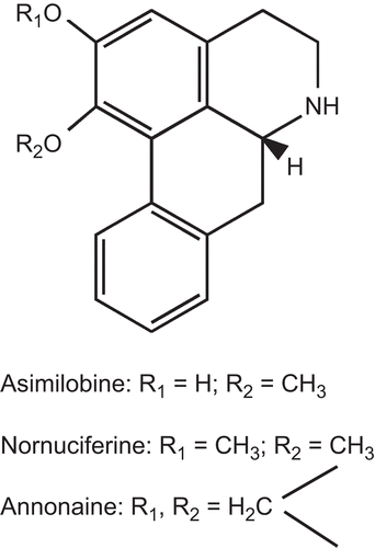 Figure 4.  Chemical structures of asimilobine, nornuciferine and annonaine (aporphine alkaloids).