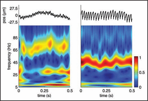 Figure 1 Vibrations elicited as two etched silicon surfaces, consisting of an array of truncated pyramids, with spatial periods of 276 (left) and 416 microns (right), are scanned across the finger at 20 mm/s. Vibrations (top plots) were recorded using a Hall Effect Transducer.Citation7 As can be seen, both from the raw traces and the spectrograms, the two surfaces elicit vibrations that differ in their spectral content. The peak frequency of the vibrations is linearly related to the scanning speed and inversely related to the spatial period of the surface (approximately 72 and 48 Hz for the two surfaces at the nominal scanning speed).