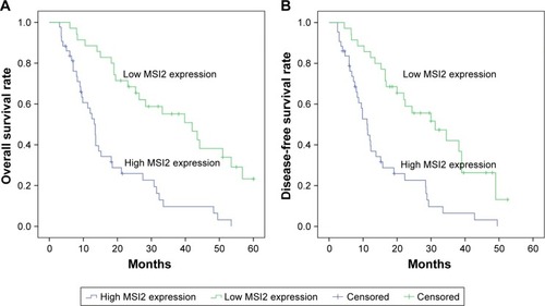 Figure 2 Kaplan–Meier survival analysis of association between MSI2 expression and prognosis of patients with extrahepatic cholangiocarcinoma.