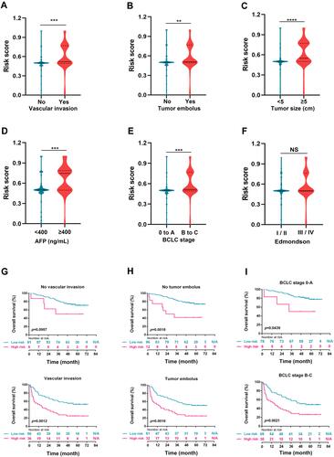 Figure 5 Correlation analysis of risk score, clinicopathological features, and survival. (A–F) HCC tissues with vascular invasion (A), tumor embolus (B), bigger tumor size (≥5cm) (C), higher AFP level (≥400 ng/mL) (D), more advanced BCLC grading (stage B or stage C) (E), but not Edmondson classification (F), displayed significantly higher risk score, **p<0.01, ***p<0.001, ****p<0.0001, NS, non-significant. (G–I) Kaplan–Meier curves for overall survival between HCC patients with high-risk score and low-risk score in the validation cohort, according to different clinical features: vascular invasion (G), tumor embolus (H), and BCLC staging (I), all p<0.05.