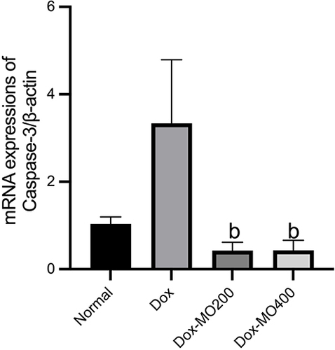 Figure 4 mRNA expressions of Caspase-3/β-actin in rats after treatment of doxorubicin or doxorubicin with Moringa oleifera leaves extracts.