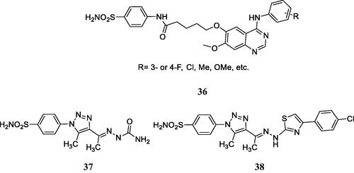 Figure 13. Multitargeting compounds incorporating the kinase inhibitory fragment from erlotinib and sulphonamide CAIs of type 36 and compounds 37 and 38 targeting CAs, COX-2, and 15-LOX.
