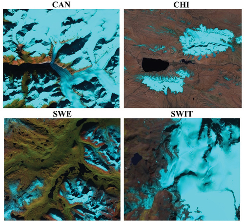 Figure 1. The top of atmosphere (TOA) reflectance images from Sentinel-2 for each study region. They are generated by the “sen2r” package in R (Ranghetti et al. Citation2020) based on false color composite (short-wave infrared, near-infrared, and red bands).