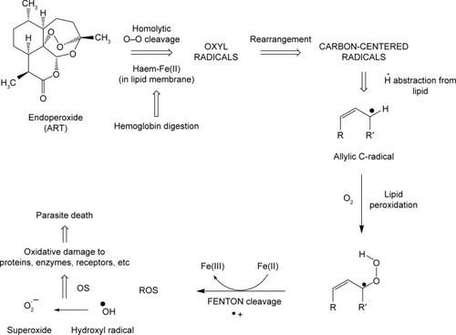 Figure 18 Mechanism of action of endoperoxide antimalarials.