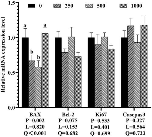 Figure 2. Effects of dietary rutin on the mRNA expressions of proliferation and apoptosis related genes in jejunum mucosa. Note: a, b a, ba,b a, ba,b Means within the same gene of the histogram with different superscript differ significantly (P < 0.05). BAX, B-cell lymphoma 2 associated X; Bcl-2, B-cell lymphoma 2. 0, basal diet (control group); 250, 500 and 1,000, basal diet further supplemented with 250, 500 and 1,000 mg rutin/kg, respectively. Q and L are the quadratic and linear responses, respectively, to the levels of dietary supplementation with rutin.