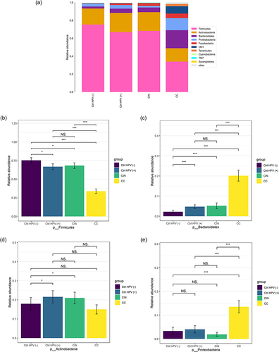 Figure 2 Column charts show the relative abundances of species at the phylum level. (a) Relative abundance of the top ten species at the phylum level. (b–e) Comparison of relative abundance of (b) Firmicutes, (c) Bacteroidetes, (d) Actinobacteria, (e) Proteobacteria in four groups. *p < 0.05, ***p < 0.001, NSp > 0.05.