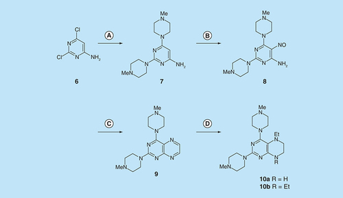 Figure 3.  Synthesis of 5,6,7,8-tetrahydropteridines (10).Reagents and conditions: (A) 1-methylpiperazine, reflux, 18 h; (B) NaNO2 aqueous acetic acid, 0°C, 3 h; (C) sodium dithionite then aqueous 40% glyoxal, reflux 7 h; (D) NaHB(OAc)3 (9 eq for 10a and 1 eq for 10b), acetic acid 48 h, 20°C.
