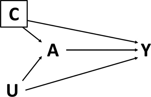 Fig. 5 A causal diagram depicting treatment A, outcome Y, a confounder C we have adjusted for, and unmeasured confounders U. In this case, we cannot obtain valid estimates of the causal effect of A on Y.