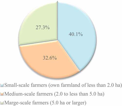 Figure 2. Distribution of farmers by landholding size in the study area.