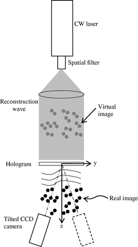 Figure 4. Off-axis viewing of an in-line hologram [after Meng and Hussain (Citation1991)].