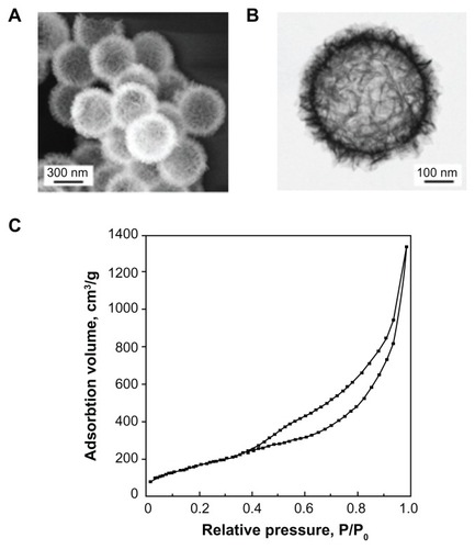 Figure 1 Characterization of flake-shell SiO2 nanoparticles. (A) Field-emission scanning electron microscopy image. (B) Scanning transmission electron microscopic image. (C) Nitrogen adsorption-desorption isotherms.