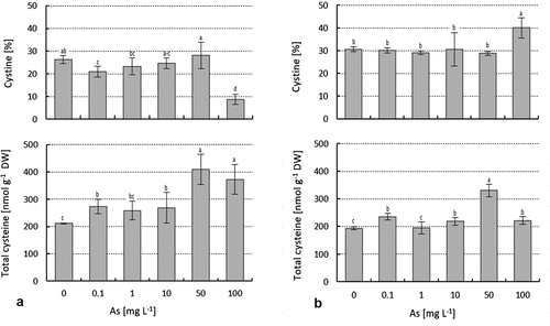 Figure 6. Effects of As(V) exposure (0.1, 1, 10, 50 and 100 mg As(V) L−1) on cysteine and percent-age of cystine (a) in aboveground parts and (b) in roots of B. erecta in vitro were determined after 21 days of the experiment. Means ±SD (n = 6–8) are shown. Significant differences are indicated by different letters (Kruskal–Wallis test, Dunn’s post hoc, P ≤ 0.05).