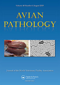 Cover image for Avian Pathology, Volume 48, Issue 4, 2019
