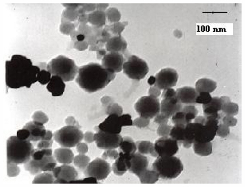 Figure 2 Transmission electron microscopic image of gold-silica nanoshells with an overall diameter of 111 ± 3 nm.Note: Scale bar = 100 nm.