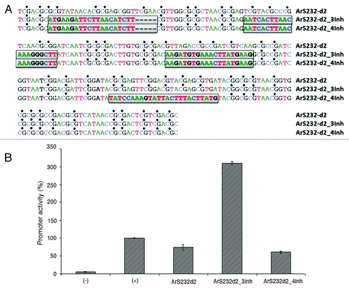 Figure 2. Modified artificial promoter constructs. We edited promoter ArS232-d2Citation8 by replacing three (ArS232-d2_3inh) and four (ArS232-d2_4inh) CpG-rich regions in local areas (25, 20, 20, and 25 nucleotides in size) with CpG-less sequences (A). This results in more than 3-fold increased in vitro activity for ArS232-d2_3inh, while ArS232-d2_4inh reduces activity to the original level. Shown are also activity of promoterless expression (-) and the SV40 core promoter (+). All relative luciferase activities were normalized to Renilla luciferase activity (B).