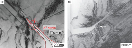 Fig. 4. (a) Schematic illustration of the crack propagation during straining and (b) crack interaction with twins.