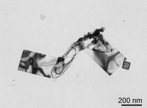 Figure 16. TEM micrograph showing the Ti-rich particles in Steel V–Ti–N. Li et al. [Citation123].