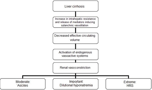 Figure 1 Pathogenesis of hepatorenal syndrome.