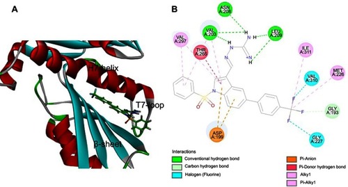 Figure 6 Predicted binding mode of CZ74 bound to FtsZ. (A) CZ74 bound to the C-terminal interdomain cleft of FtsZ; (B) predicted interaction between CZ74 and amino acids of FtsZ.