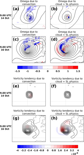 Fig. 16. Panels (a) – (d) show vertical motion (shading, Pa s−1) at 700 hPa and sea level pressure (contours, with 4-hPa interval), and panels (e) – (h) show vorticity tendency (shading, s−2) and relative vorticity (contours, starting from 5 × 10−5 s−1, with 5 × 10−5 s−1 interval) averaged over the 900–800-hPa layer. The left-hand panels [(a), (c), (e), and (g)] show vertical motion and vorticity tendency due to the convection parametrization, and the right-hand panels [(b), (d), (f) and (h)] show vertical motion and vorticity tendency due to the microphysics parametrization. The upper panels in both vertical motion [(a) and (b)] and in vorticity tendency [(e) and (f)] show the situation at 9 UTC 14 October (tropical phase), and the lower panels [(c), (d), (g) and (h)] at 9 UTC 16 October (extratropical phase). The size of the panels is 16° longitude by 12° latitude, centred on the cyclone vorticity maximum.