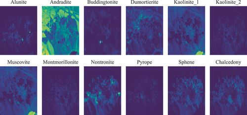 Figure 9. Visualization of the abundance maps obtained by the proposed method on Cuprite.