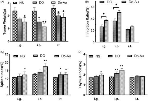 Figure 7. Tumor Index in vivo. (A) Tumor weights variability. (B) Inhibition ratio caused by treatments. (C, D) Spleen and thymus indexes of different groups. *p<.05, **p<.01 compared to the control.