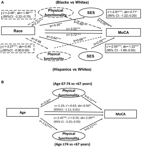 Figure 2 Mediation of race/ethnic (A) and age (B) differences in global cognitive performance by SES and lower extremity function. Estimates obtained with Barron and Kenny mediation analysis.
