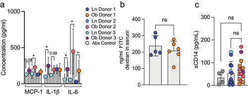 Figure 2. The microbiota from obese individuals drives systemic inflammation but not intestinal barrier leak. (a) serum cytokines were measured in colonized mice at five weeks post colonization revealed significant increases in IL-1β, MCP-1 and IL-6 in recipients of some obese microbiotas. (b) concentration of orally gavaged 4-kDa fluorescence isothiocyanate (FITC) dextran in the plasma after four hours in mice four weeks after colonization with lean or obese microbiotas. (c) graph depicts the concentration of CD14 in the serum as measured by Elisa at five weeks post colonization. Each dot represents an individual mouse with color coding for each donor. Bar graphs show the mean ± SEM, * = p < 0.05; ** = p < 0.01, ns = non- significant. Statistics were performed using an unpaired student’s t test.