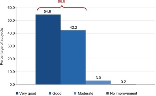 Figure 5 Efficacy evaluation (medical).