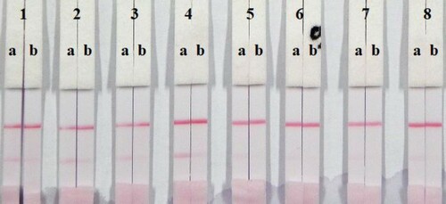 Figure 5. Result of using 7 kinds of reagent. 1 = suspension buffer, 2 = PVP, 3 = PEG, 4 = BSA, 5 = Tween-20, 6 = Brij-35, 7 = Trixton X-100, and 8 = On-870. a = negative (0 ng/mL). b = positive (1 ppb).