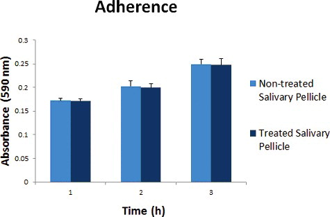 Figure 3. Absorbance reading (590 nm) for adherence of germinated C. albicans on hydroxychavicol-treated and untreated salivary pellicle.