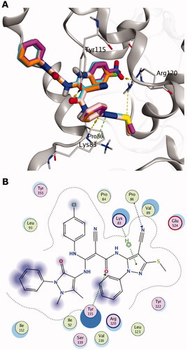 Figure 4. (A) Overlay of the docking pose of 5a (cyan), 5b (pale rose), 5d (orange) and 5e (purple) in the binding site of COX-2 (PDB: 6BL4). Non-polar hydrogen atoms were omitted for clarity. (B) Interactions of 5a docking pose with COX-2 protein in a 2 D depiction.
