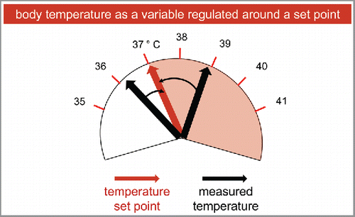 Figure 1. Thermoregulation in a unified system.