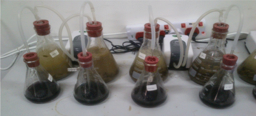 Figure 1. Ammonia volatilization forced-draft set-up.